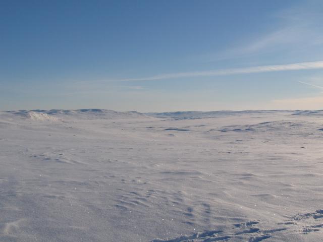 hardangervidda_winter_2006 035.jpg.jpg